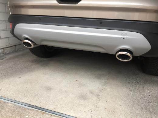 Auspuffblende Endrohr Edelstahl oval 115x85mm mit Absorber zum anschrauben bis 5,5cm