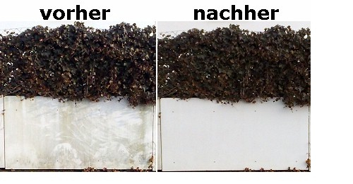 Indusan der Profireiniger von Herrlan Sprühflasche 3 x 1 Liter