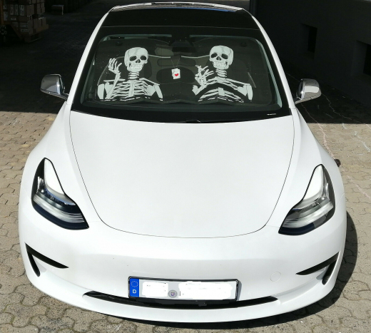 Auto Sonnenschutz Windschutzscheibe mit Saugnäpfen für Frontscheibe Typ Totenkopf Skelett